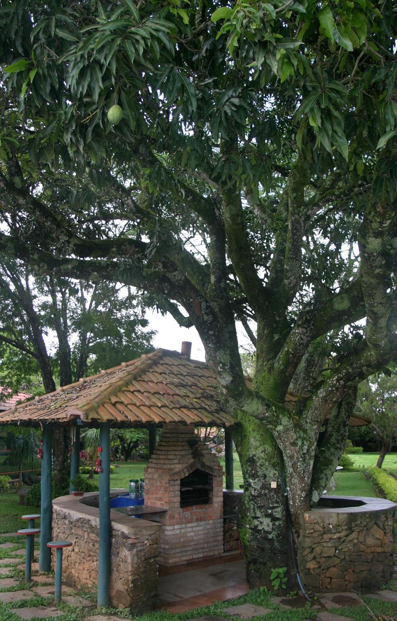 Villa Buonabitacolo São João del Rei Exteriör bild
